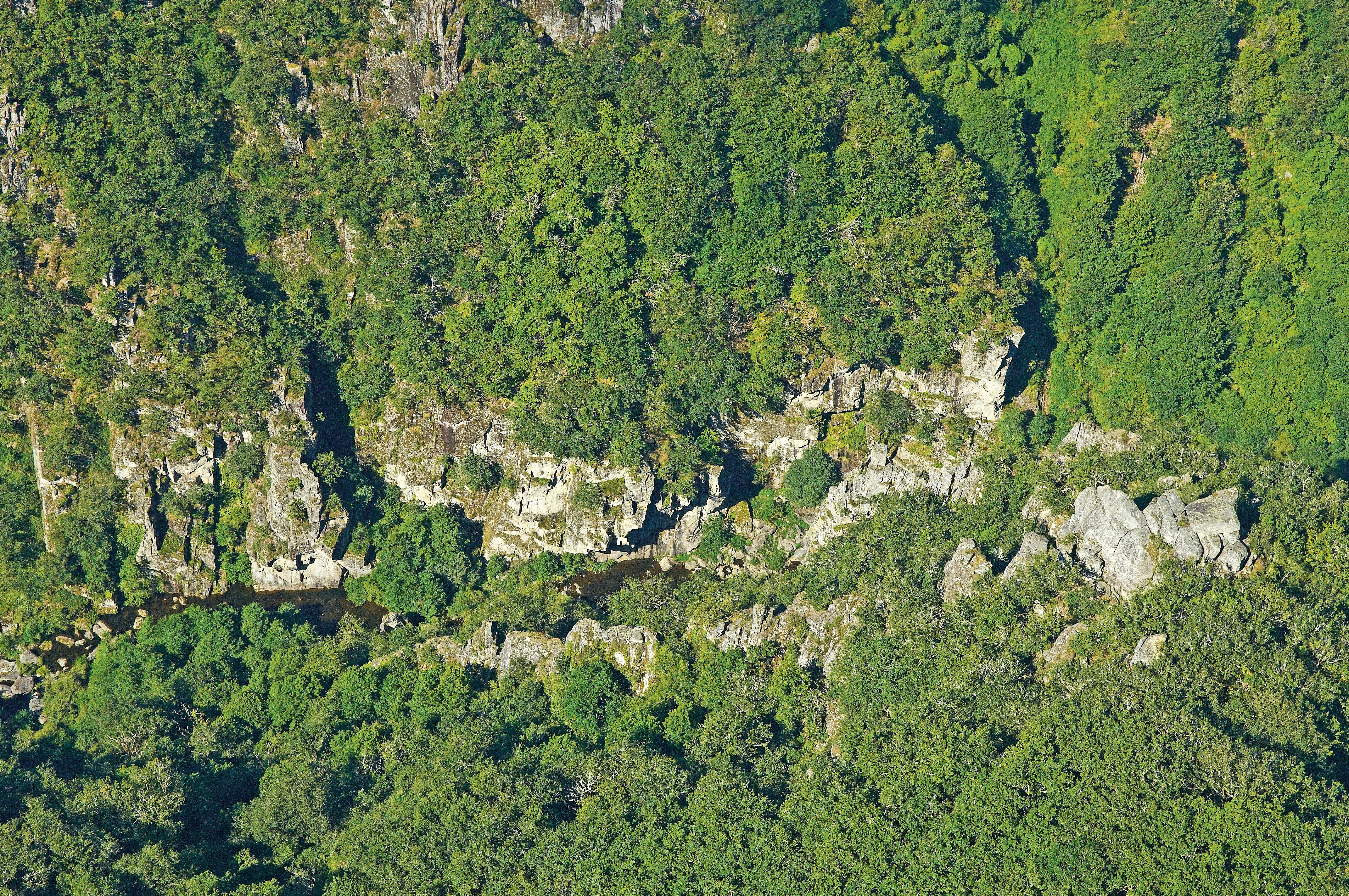 Ste-Geneviève-sur-Argence